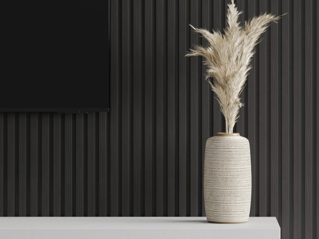 Black slats in the room