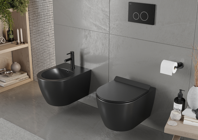 WC Bowl and Bidet for the Bathroom