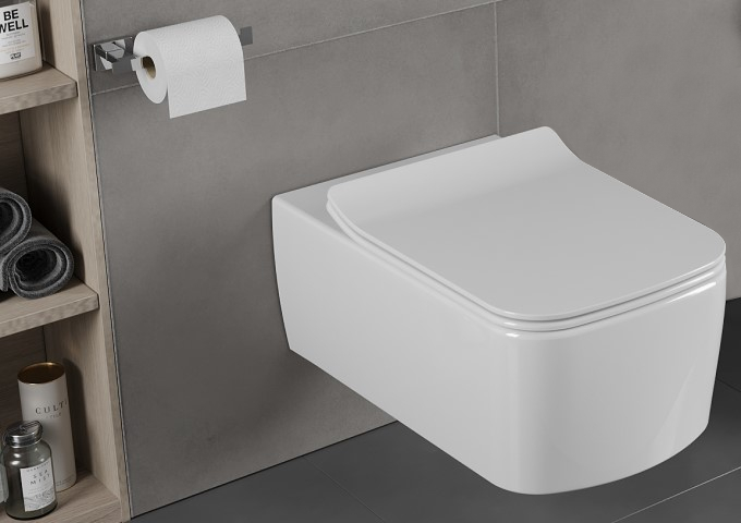 toilet bowl and soft-closing seat