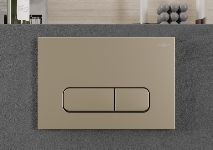 flush button in the bathroom