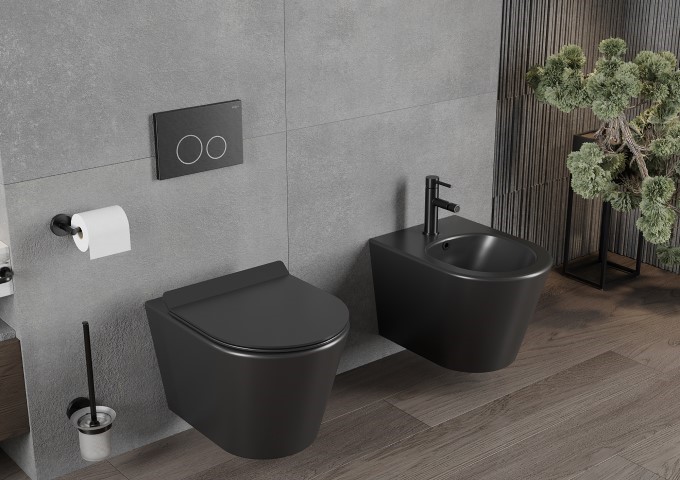 concealed frame for wall-hung bidet