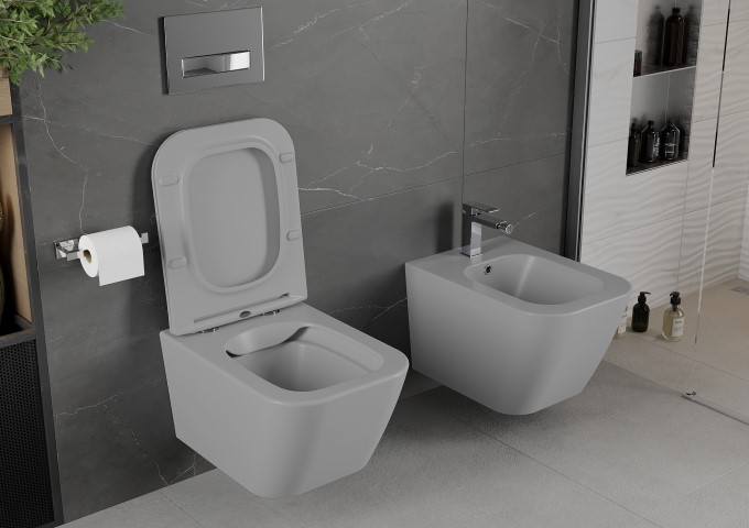 bidet in the toilet