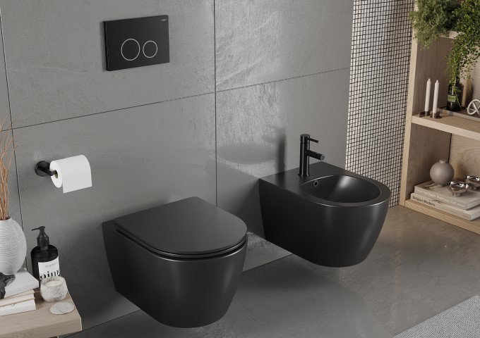 concealed frame with bidet