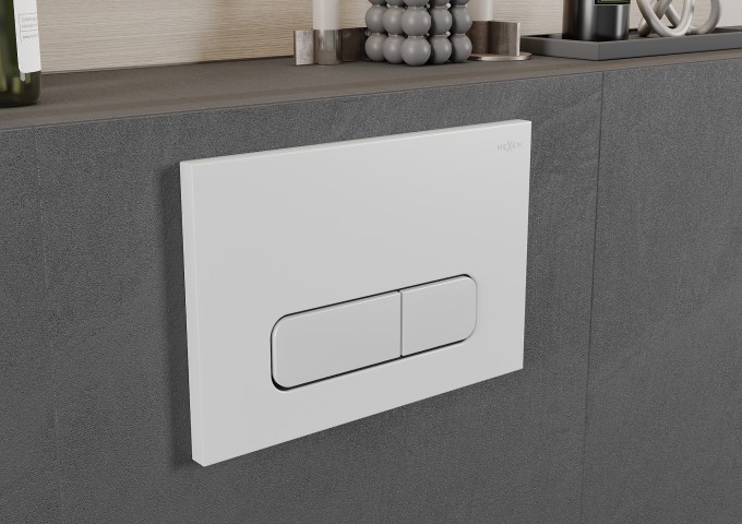 In-wall Frames for WC with White Button