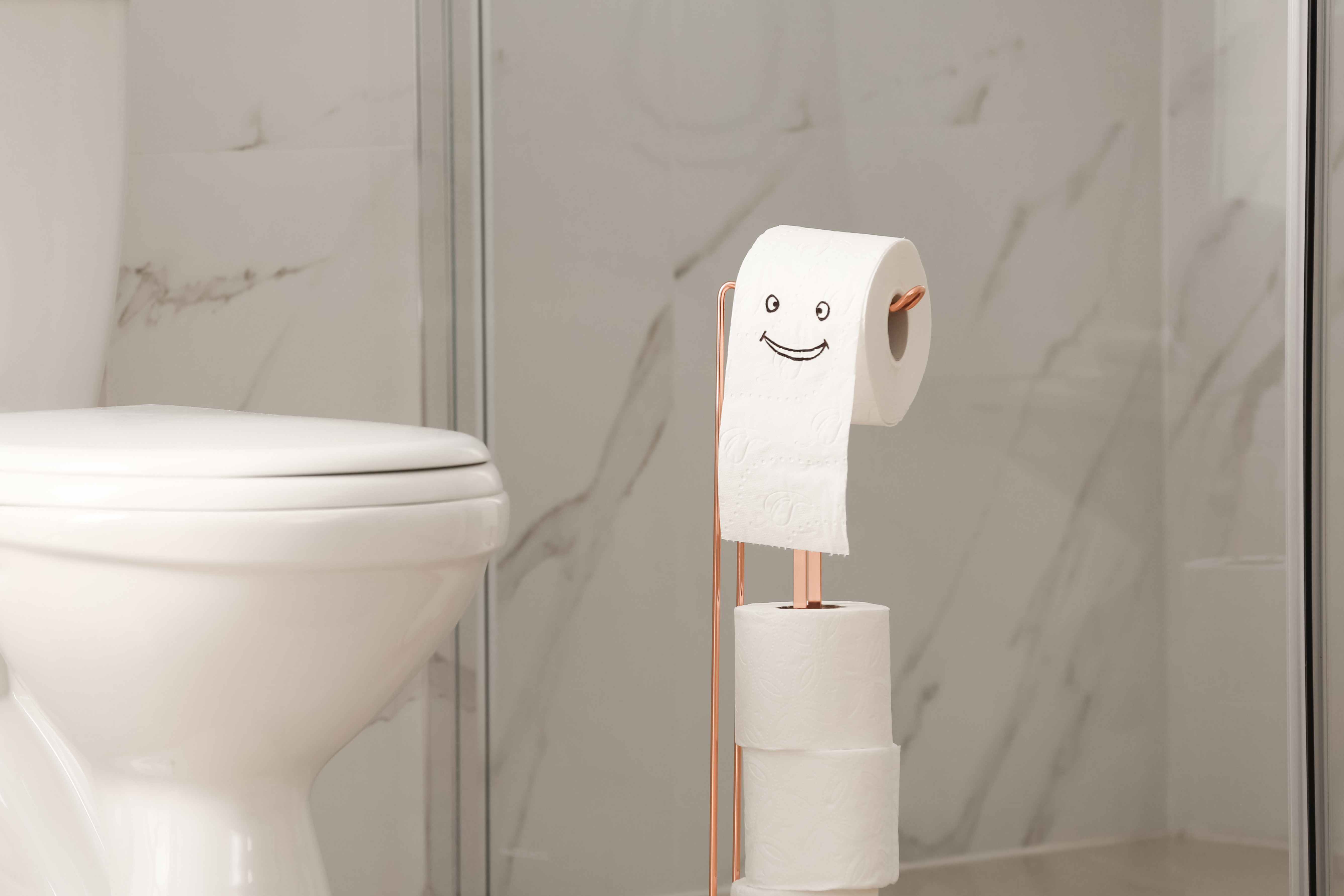 No Drilling - Non-Invasive Toilet Paper Holder