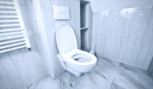 Which concealed frame for the toilet to choose?