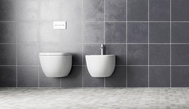Choose a Functional Toilet Bowl for Your Bathroom