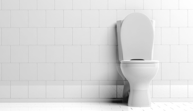 The Bathroom of Our Dreams