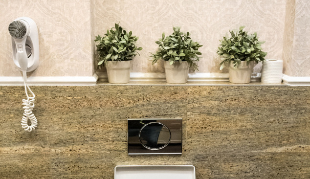 Choosing a flush button