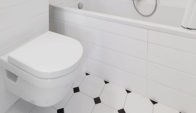 Wall-hung or floor-standing toilet bowl?