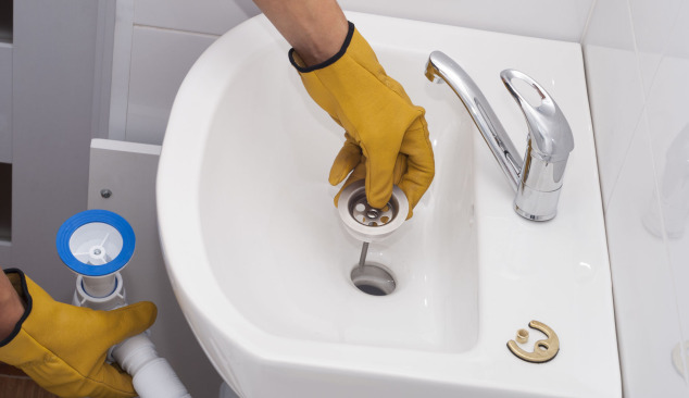 Which Plug Will Be the Best?