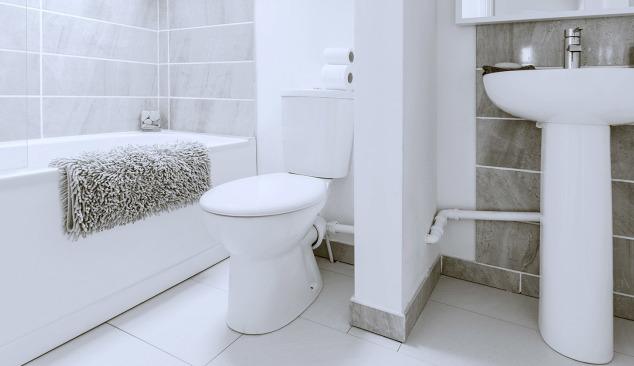 What to pay particular attention to when choosing a toilet?