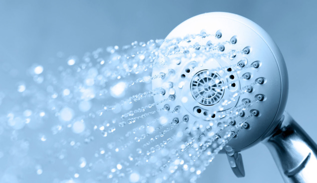Shower Head - Variants