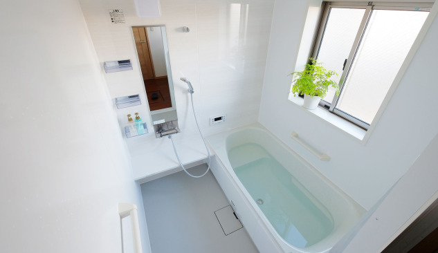 Which bath model to choose?