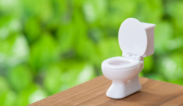 How to choose the right floor-mounted toilet bowl?