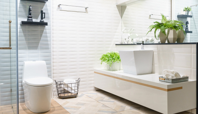 Toilet Bowl - Better as a Standing or Hanging?