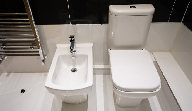 Why is it worth investing in a washing toilet seat?