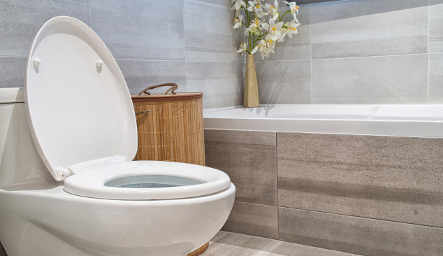 What to Consider When Choosing a Toilet Bowl for the Bathroom?