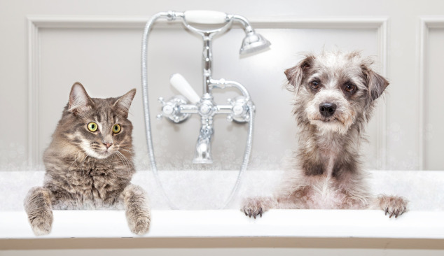 Choosing a Bath-Shower Faucet - Where to Start?