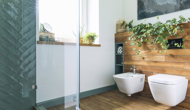 Bathroom bidet - what should you know about it?