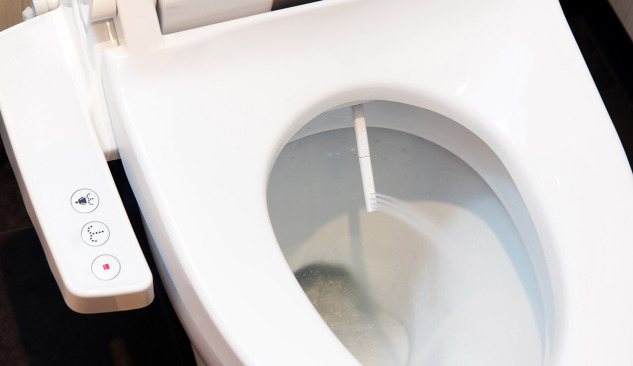 What to be informed about before buying a washing toilet seat?