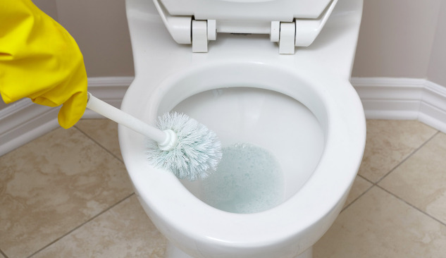 What to consider before choosing a toilet brush?