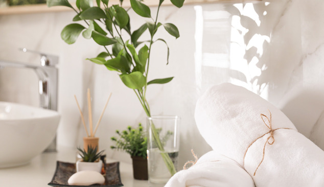 What plants can be placed in the bathroom?