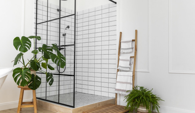 Shower Tray or Linear Drain?