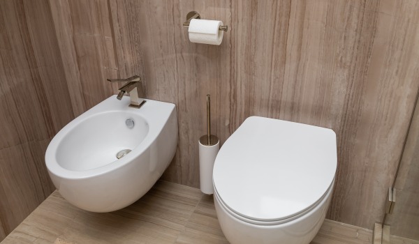 What is a bidet for and why is it worth having in the bathroom?