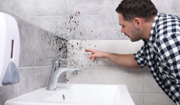Removing black mold from silicone — how to do it effectively?