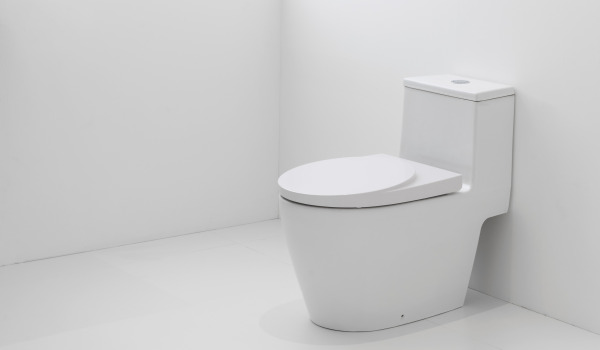 How to Match a Toilet Bowl to Your Décor?