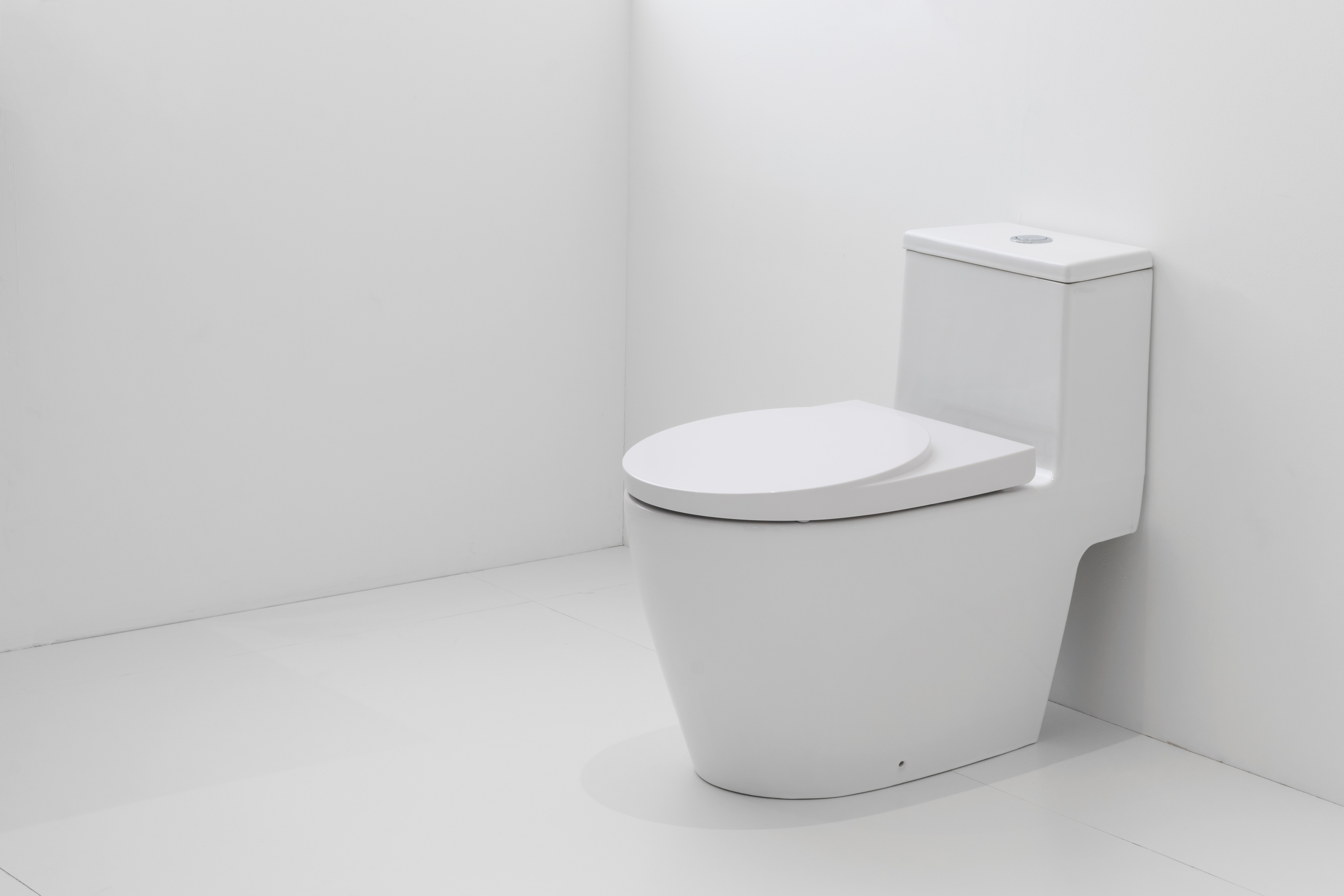 How to Match a Toilet Bowl to Your Décor?