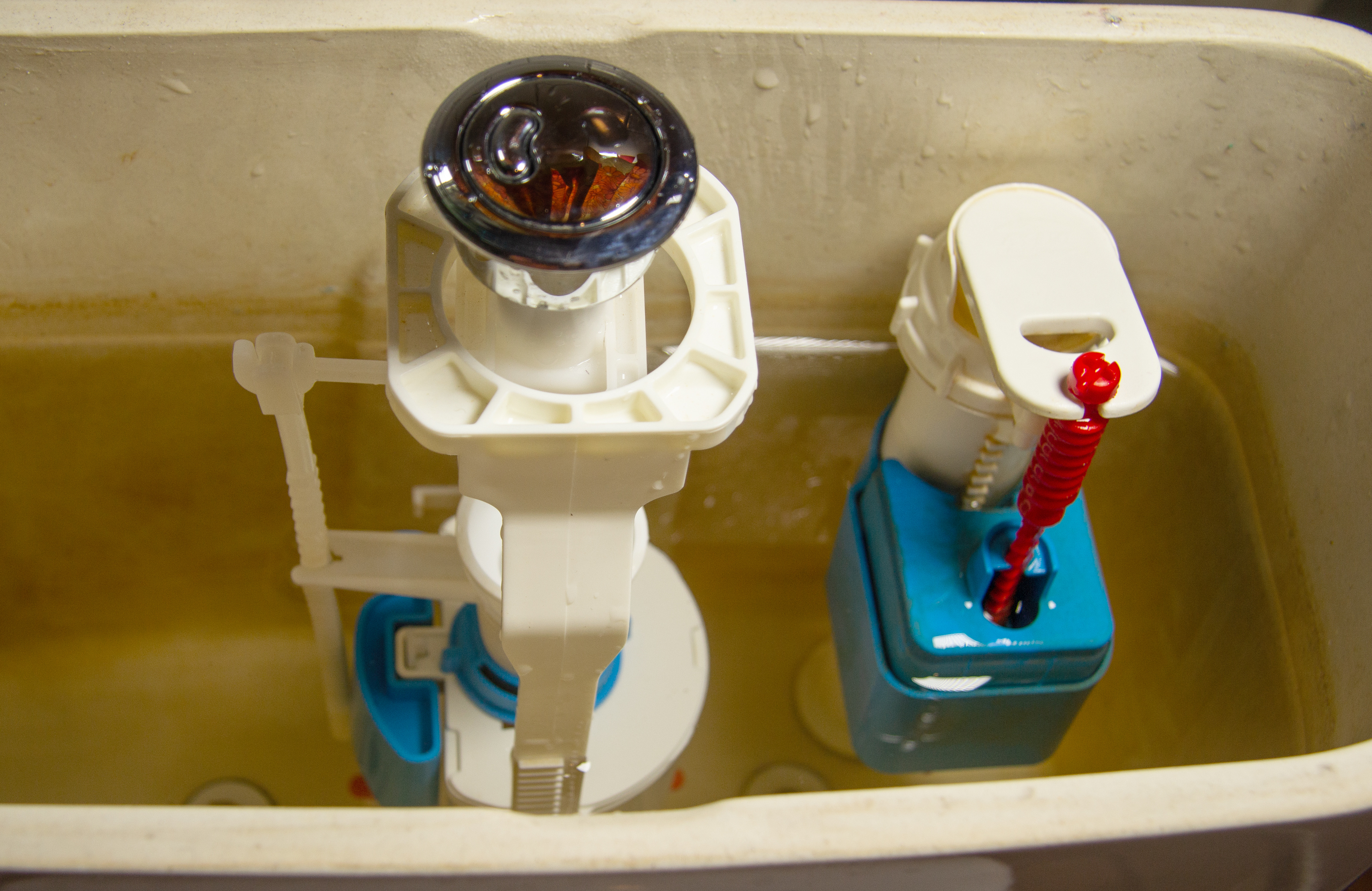How to Fix a Toilet Flush?