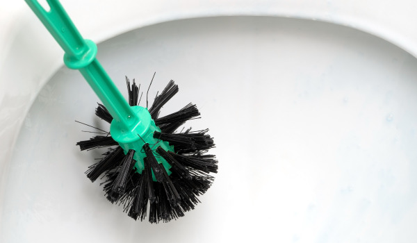 Is it Worth Changing Toilet Brushes?