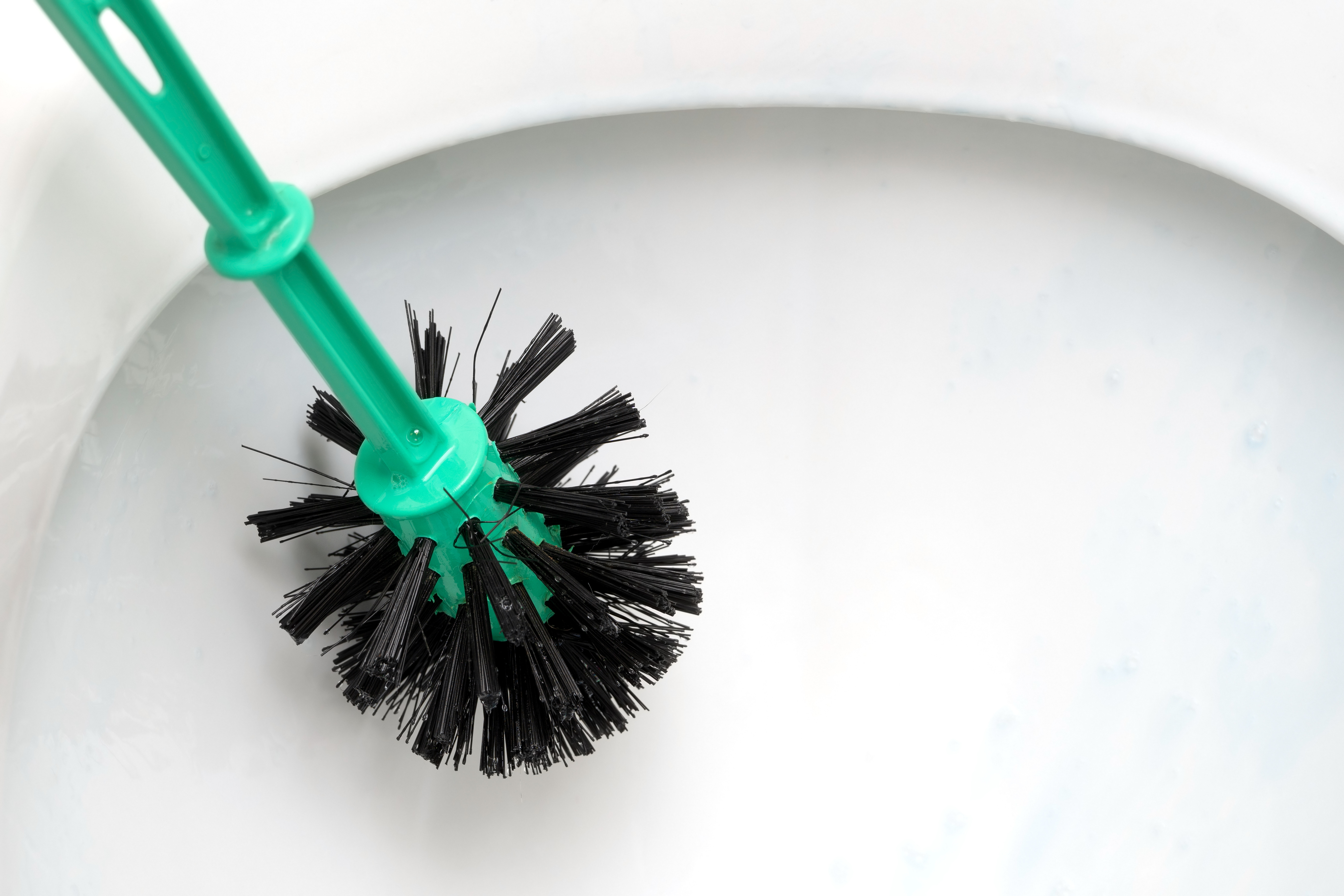 Is it Worth Changing Toilet Brushes?
