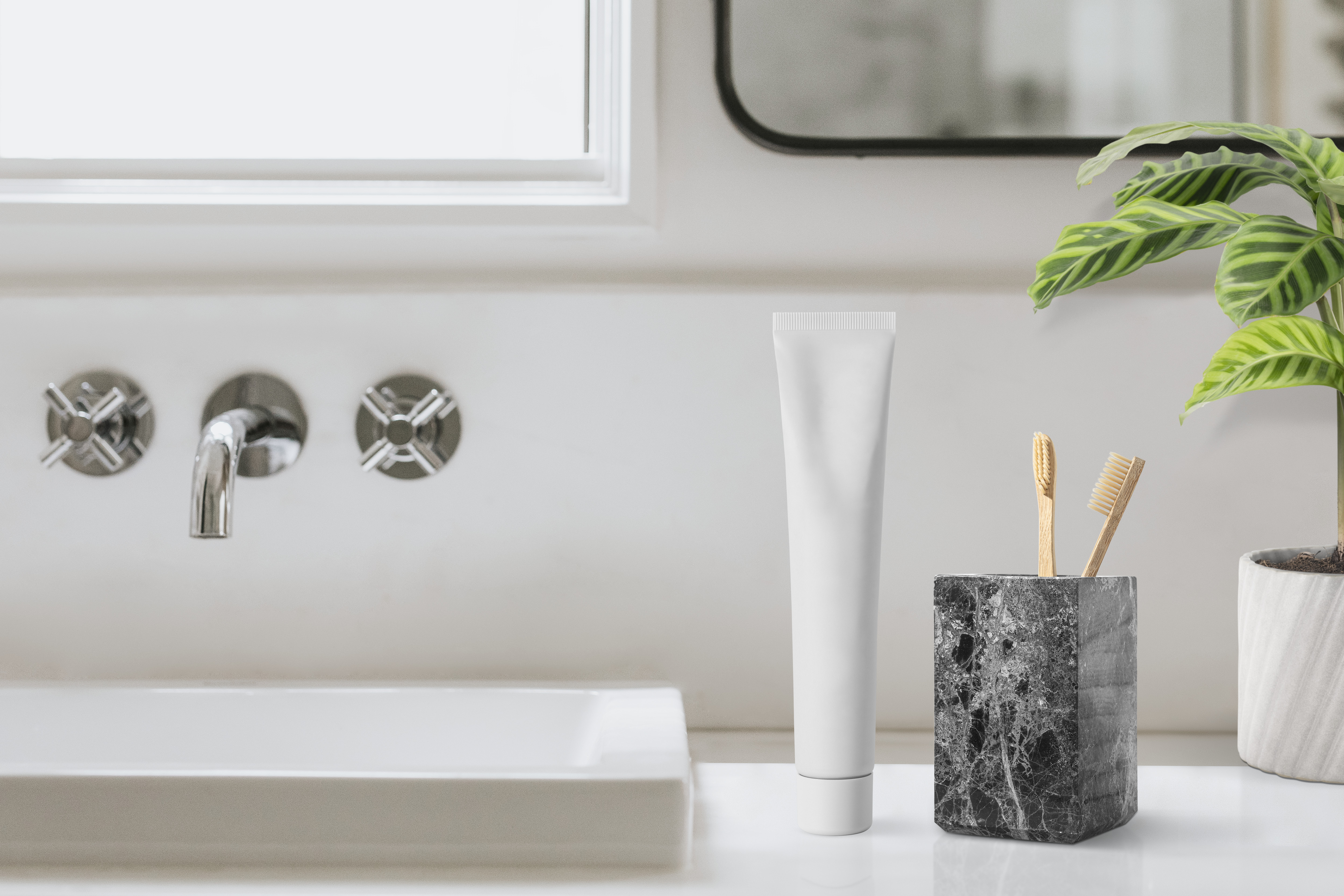 Oral Hygiene Accessories