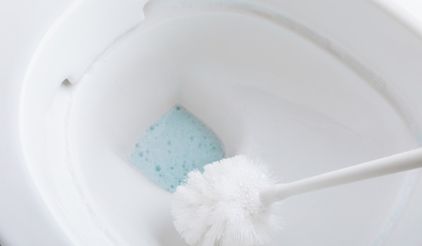 How to take care of a toilet brush?