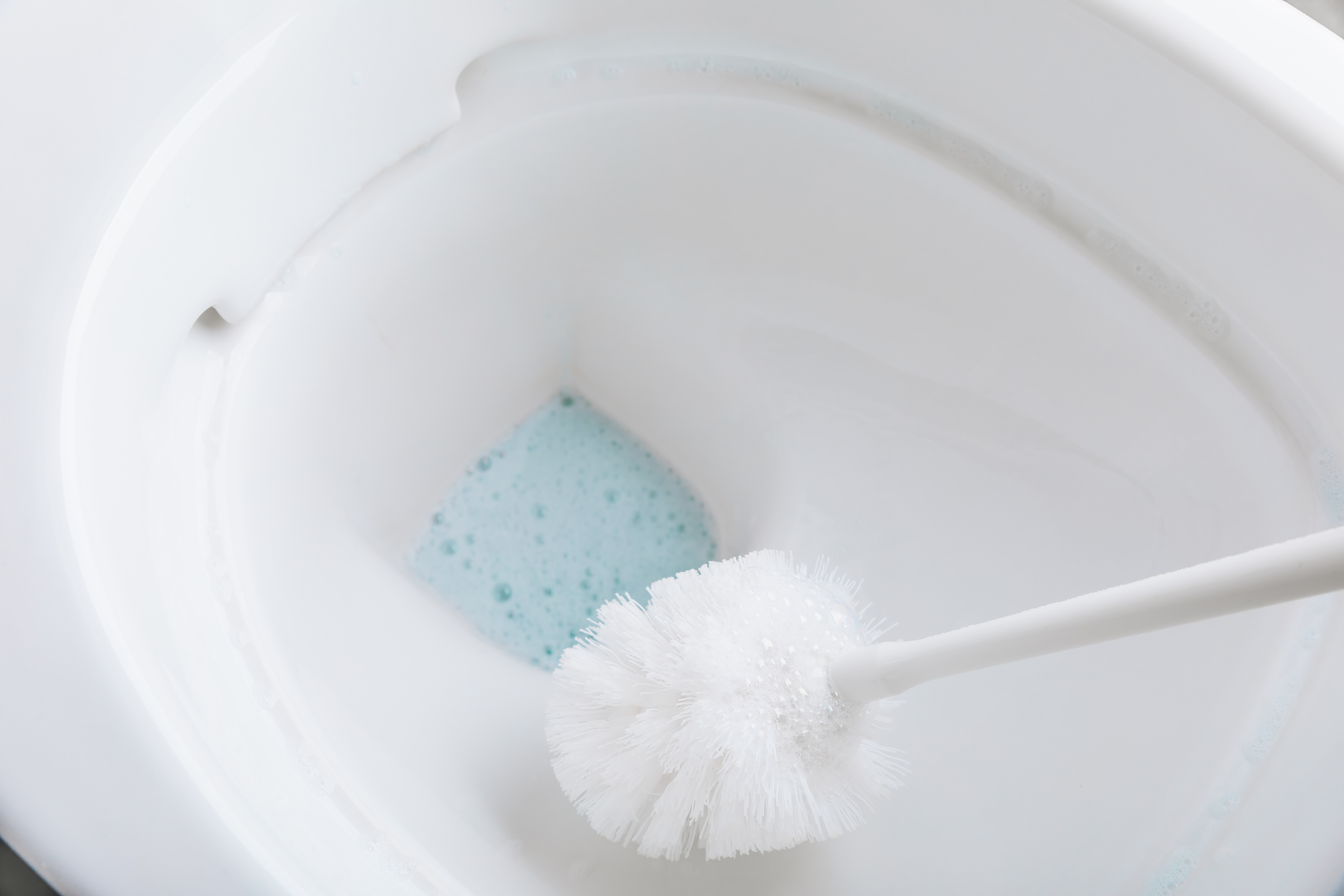 How to take care of a toilet brush?