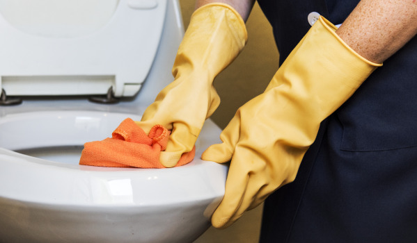 How to clean the toilet seat?