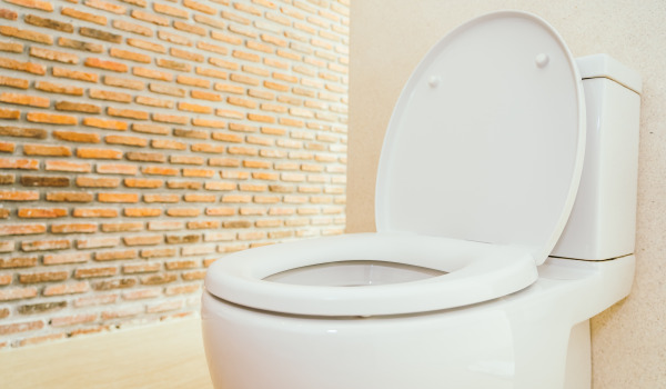 What is a wall-mounted frame for a toilet?