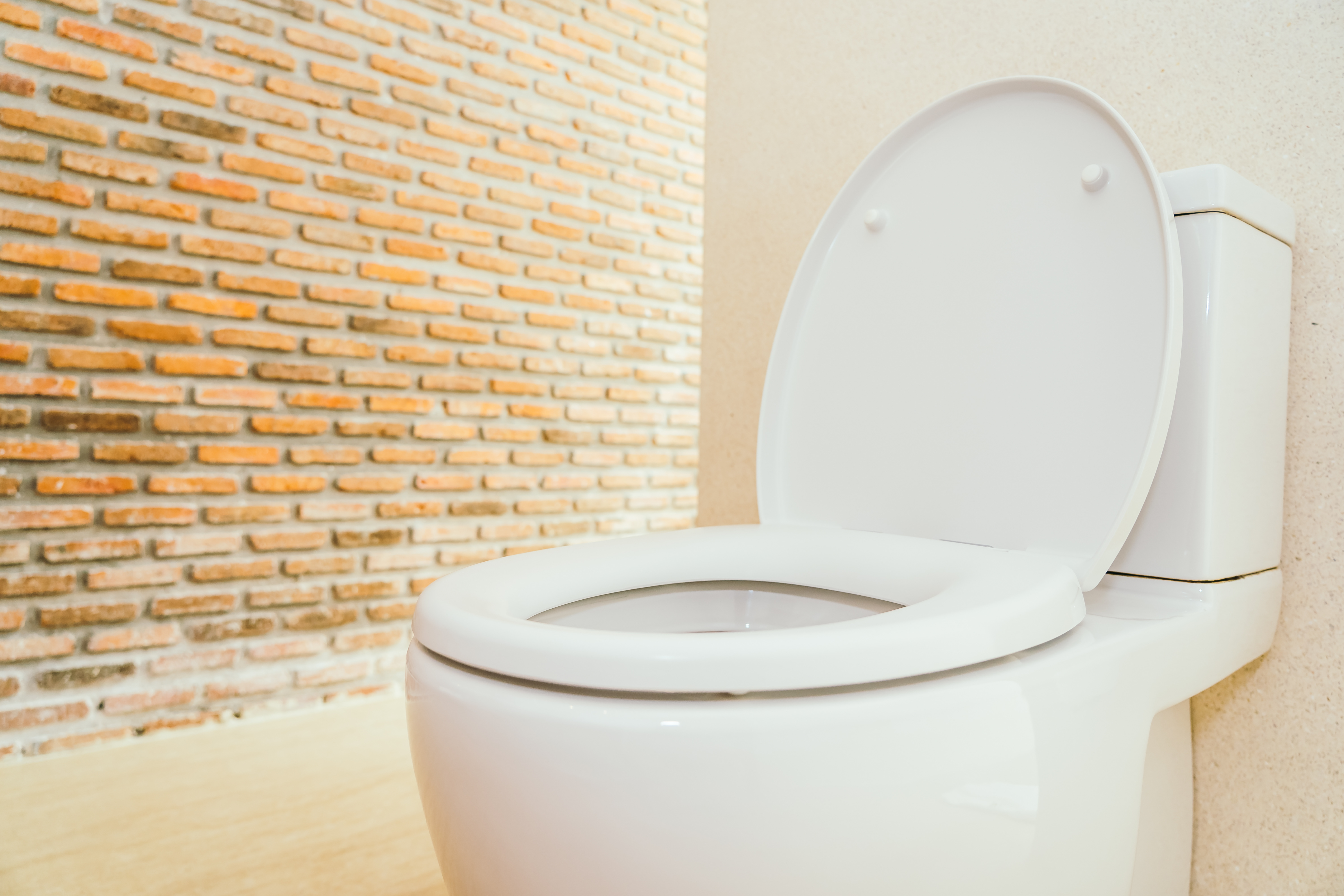 What is a wall-mounted frame for a toilet?