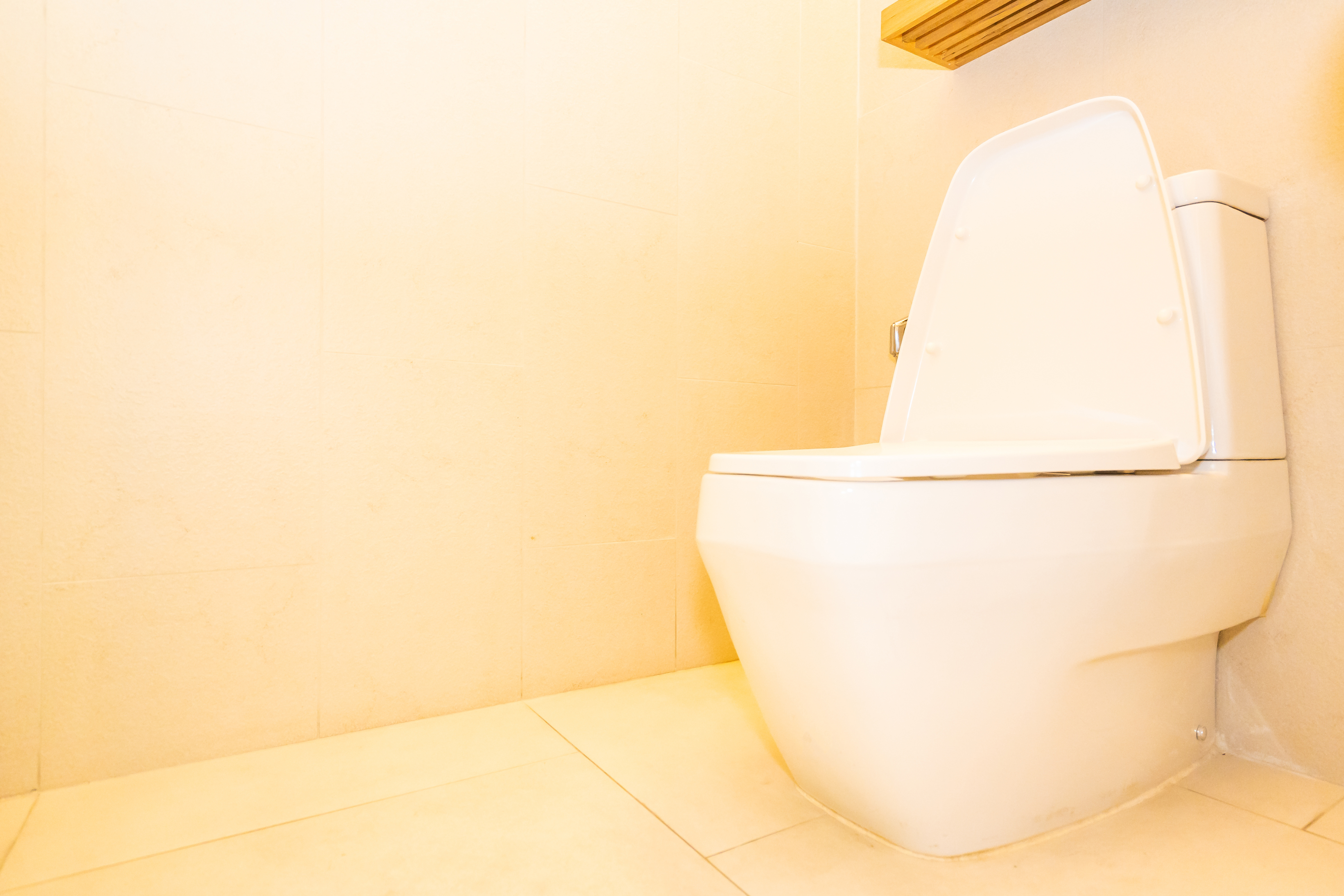 Which wall-hung toilet frame to choose?