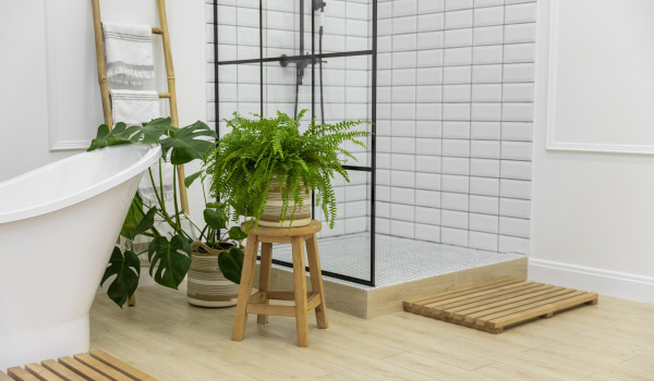5 Best Flowers to Grow in the Bathroom