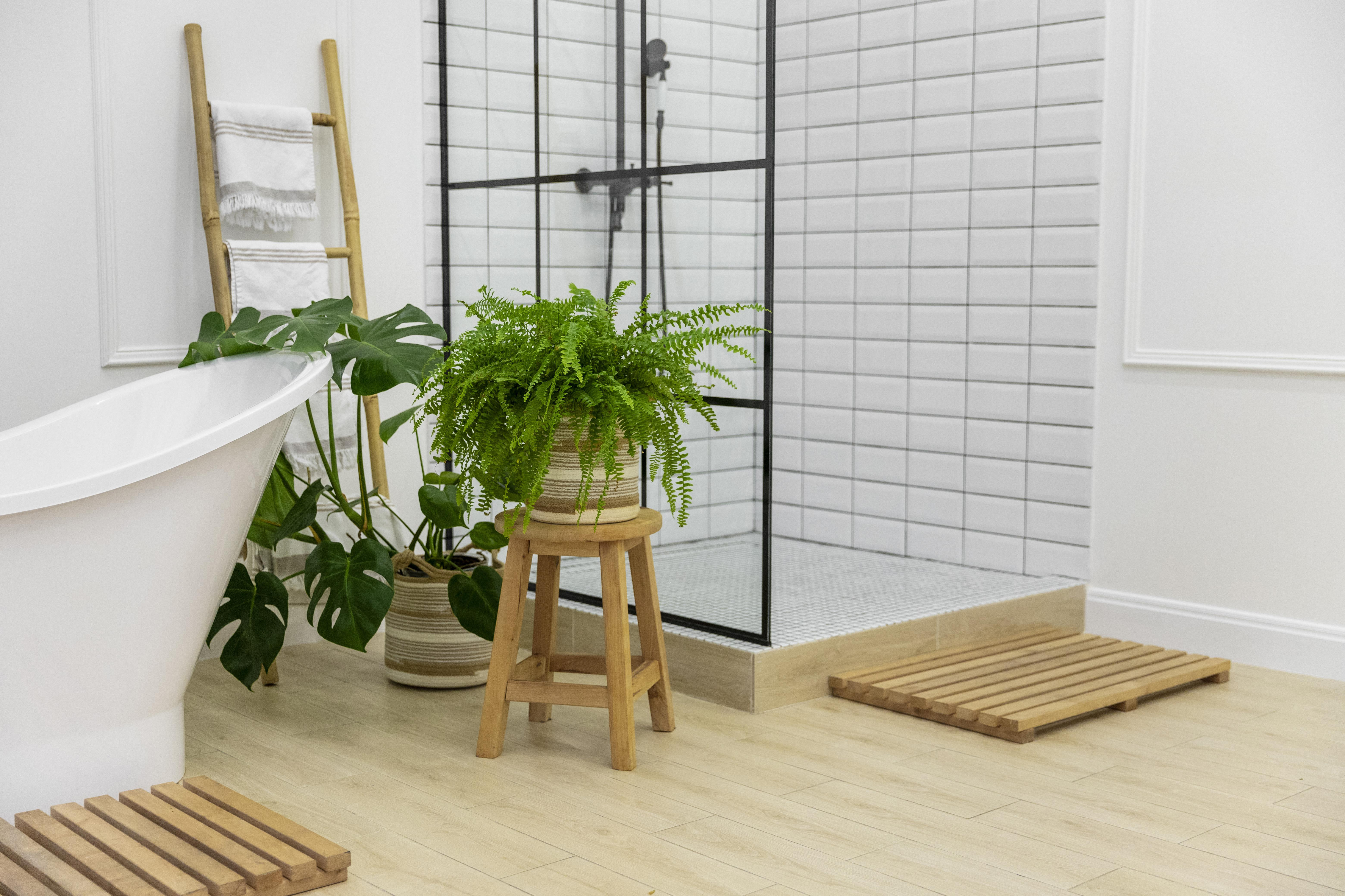5 Best Flowers to Grow in the Bathroom