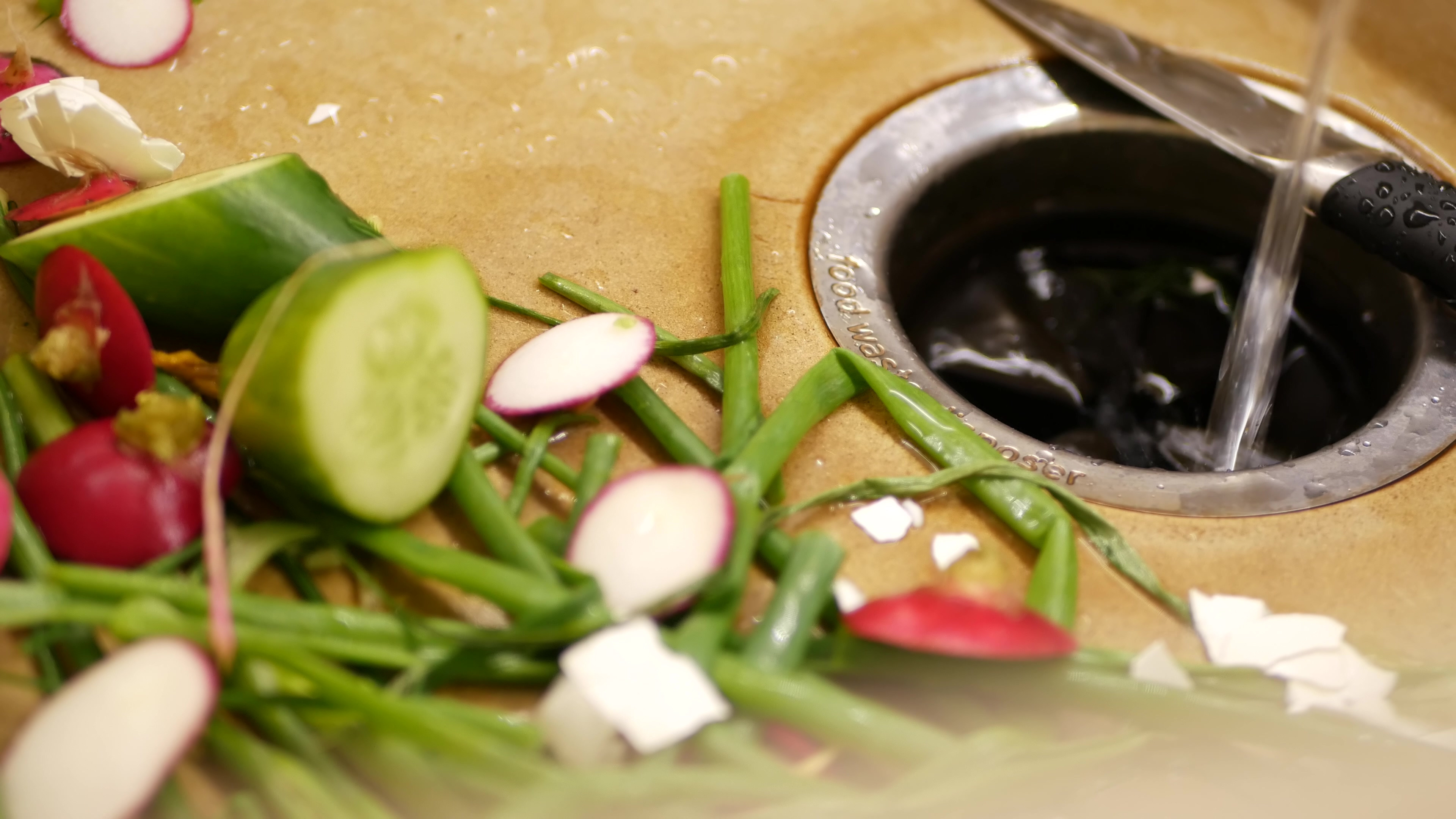 Garbage Disposal: How Does a Sink Grinder Work? Is It Worth It?