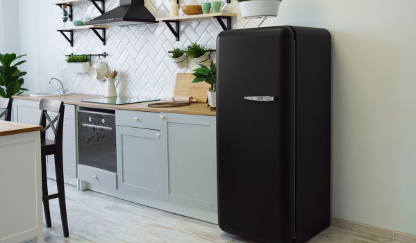 What Should the Temperature Be in the Refrigerator?