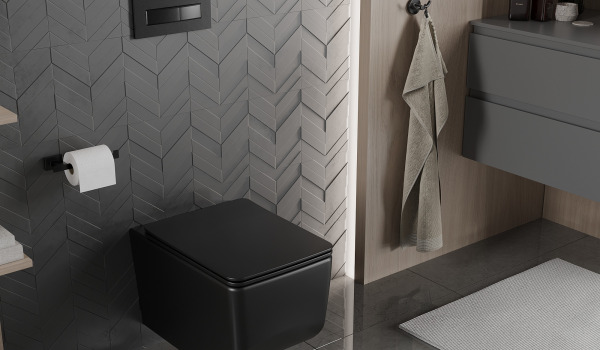 Black Bathroom Fixtures