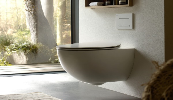 WC Bowl With or Without a Rim?
