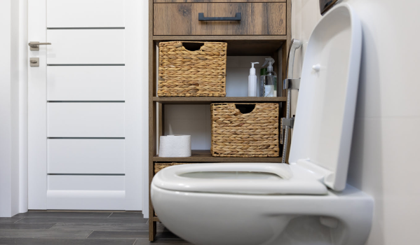 Toilet Bowl With a Rim or Without?
