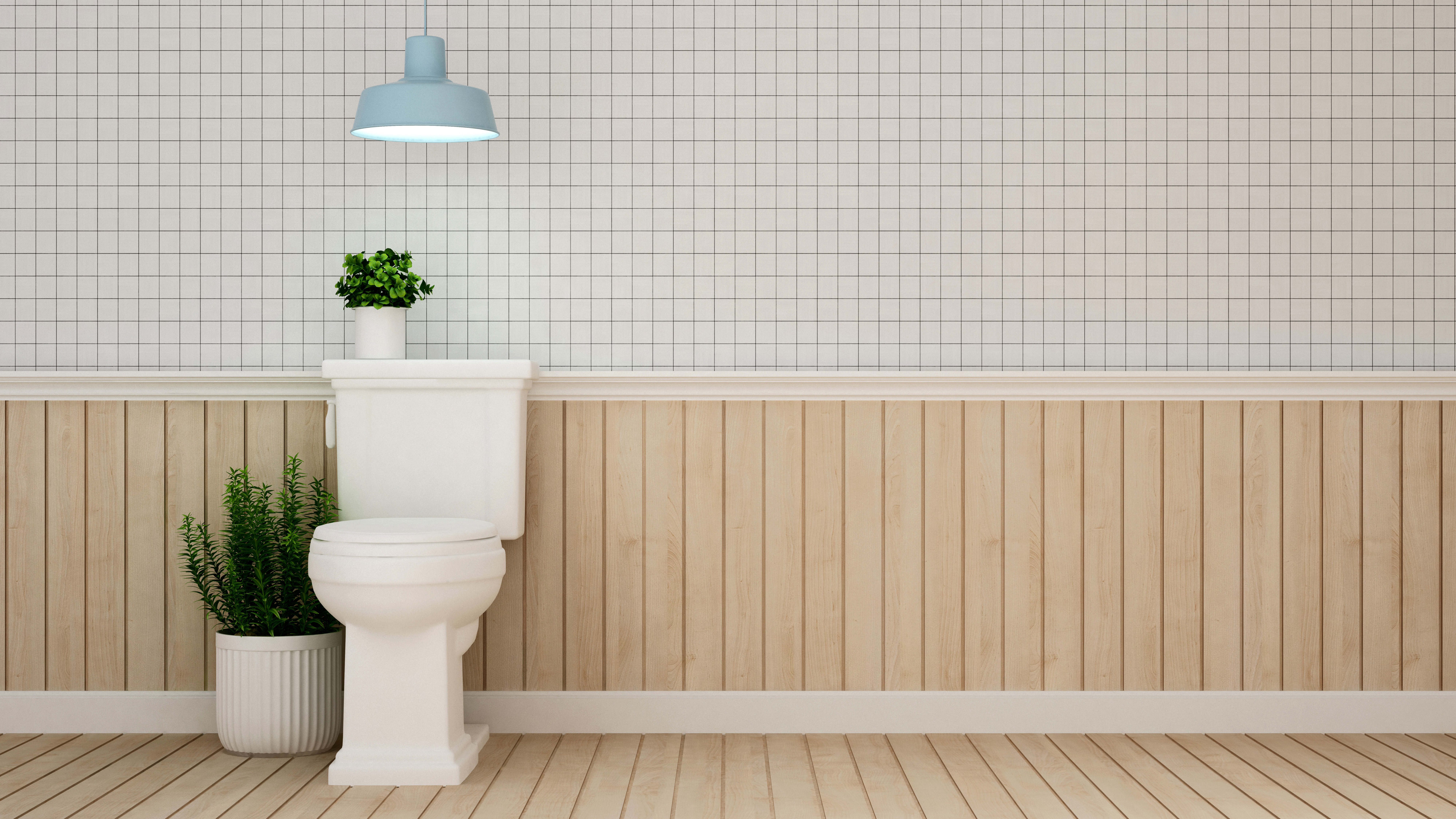 How does a toilet flush work?